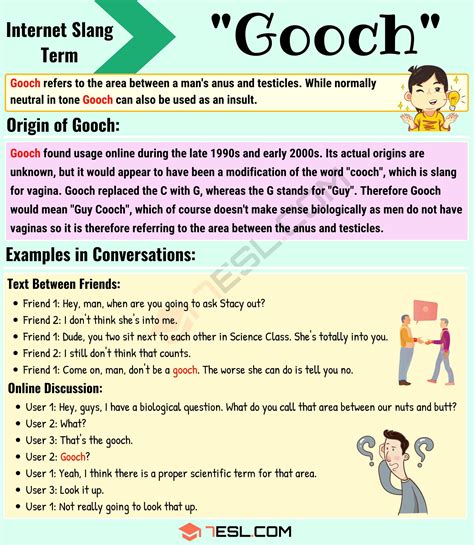 what is the gooch on the human body|Top 48 Slang For Perineum – Meaning & Usage